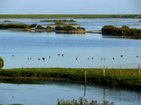 Haus-Halligblick-Ferienwohnung-Hamburger-Hallig